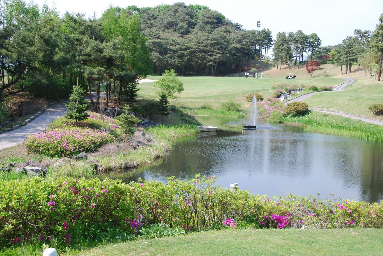 Hantan River Spa Hotel Cheorwon Luaran gambar
